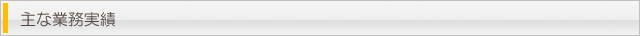 主な業務実績